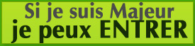 SI JE SUIS MAJEUR, JE RENTRE
