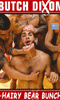 Cliquez pour voir la fiche produit- The Hairy Bear Bunch - DVD Import