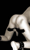 Cliquez pour voir la fiche produit- The Humbler
