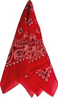 Cliquez pour voir la fiche produit- Bandana rouge