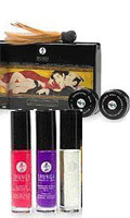 Cliquez pour voir la fiche produit- Shunga - Kit Plaisirs Charnels