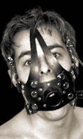 Face Harness with Piss Gag