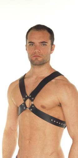Harnais torse