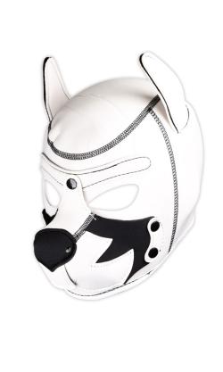 Cagoule Néoprène Chien Fox Terrier - Blanc - Large