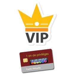 AGayN VIP subscription - 1 year