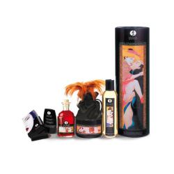 Shunga - Carnal Pleasures Kit