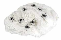 Toile araign�e + araign�es