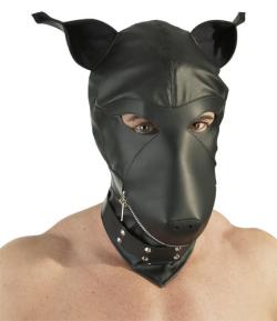 Cagoule fermée Chien