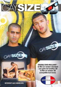 Gaysize Le Film 3D -  Double DVD France