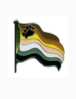 Pin's Bear Flag (flottant)
