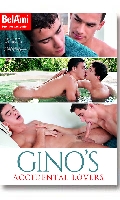 Click to see product infos- Ginos Accidental Lovers - DVD Bel ami