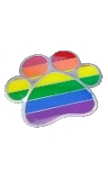 Click to see product infos- Pin's Rainbow Paw