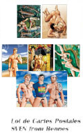 Click to see product infos- Cartes Postales Sven x 6