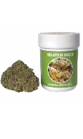 Cliquez pour voir la fiche produit- Fleurs de CBD ''Gelato Di Rocco'' (Relaxant) - FunLine - 4 g