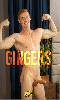Cliquez pour voir la fiche produit- Gingers - DVD Import (Sean Cody)