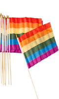 Click to see product infos- Grand Drapeau Rainbow Pride 45x30 cm